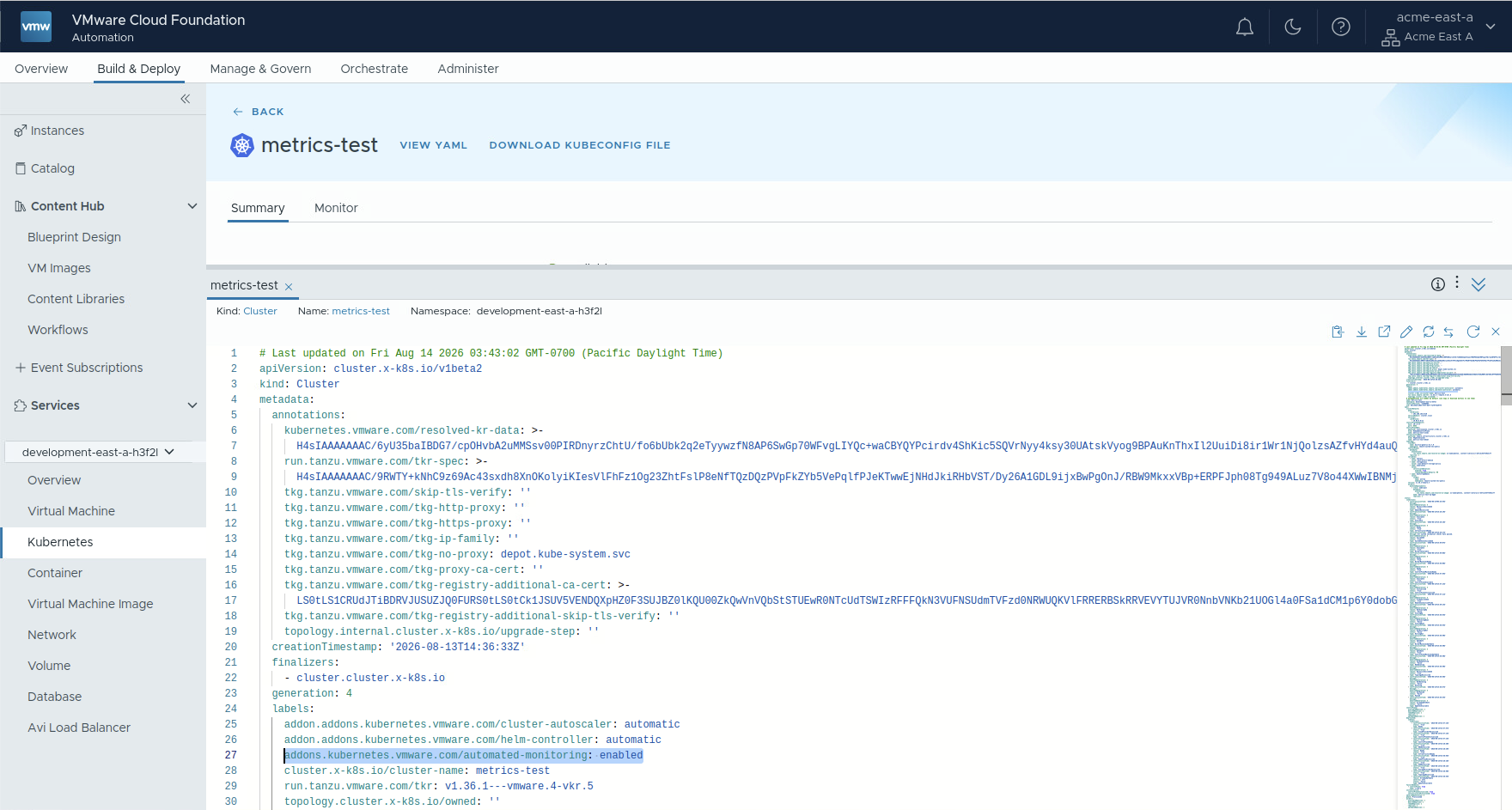 VKS cluster with automatic monitoring enabled